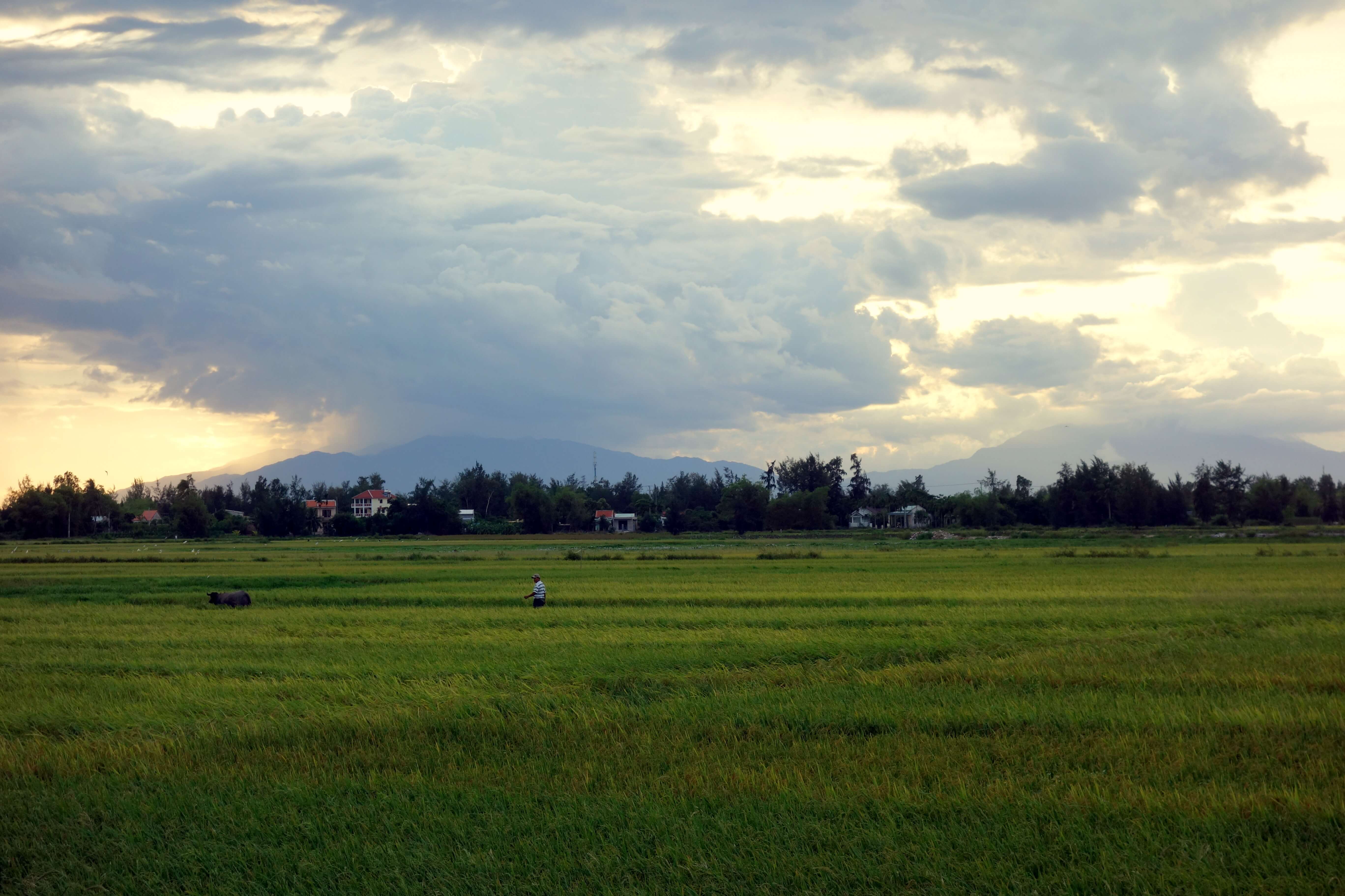 Hoi An