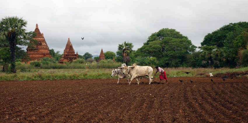 Les temples de Bagan, c’était merveilleux !