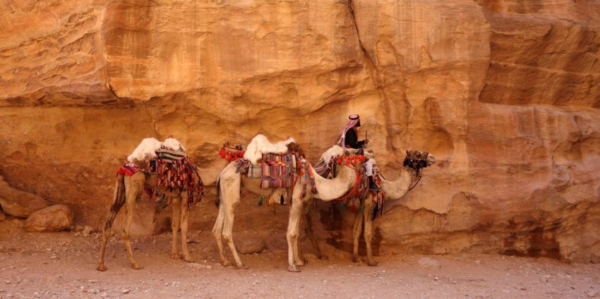 Le centre de la Jordanie, de Dana à Petra à pied !