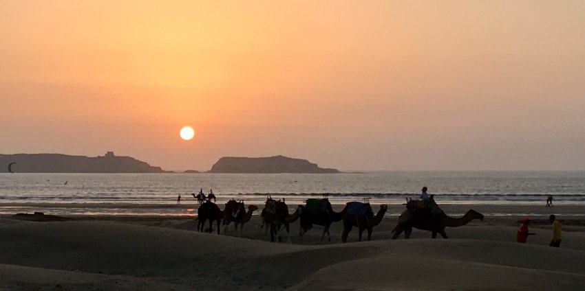 La côte d’Essaouira à Aourir : Imsouane, Taghazout, Tamraght