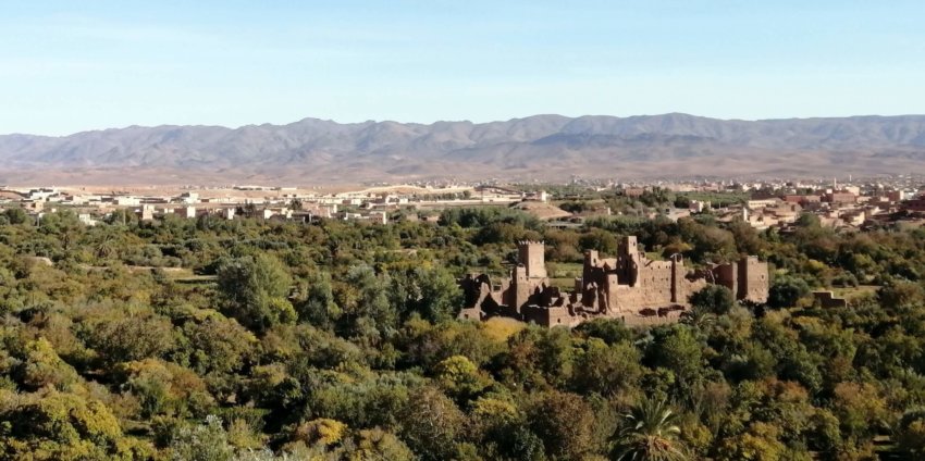 Ouarzazate, Oasis de Fint et vallée de Dades