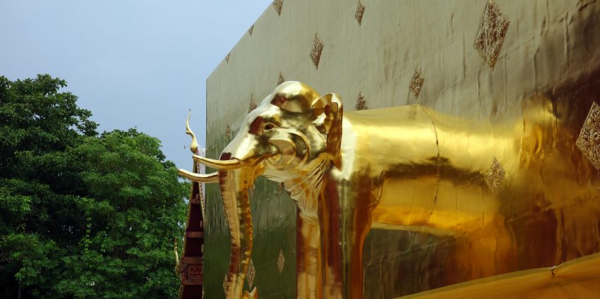 Chiang Mai, des temples, des marchés et des éléphants !